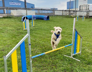 Agility