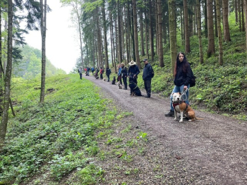 Hundewanderung